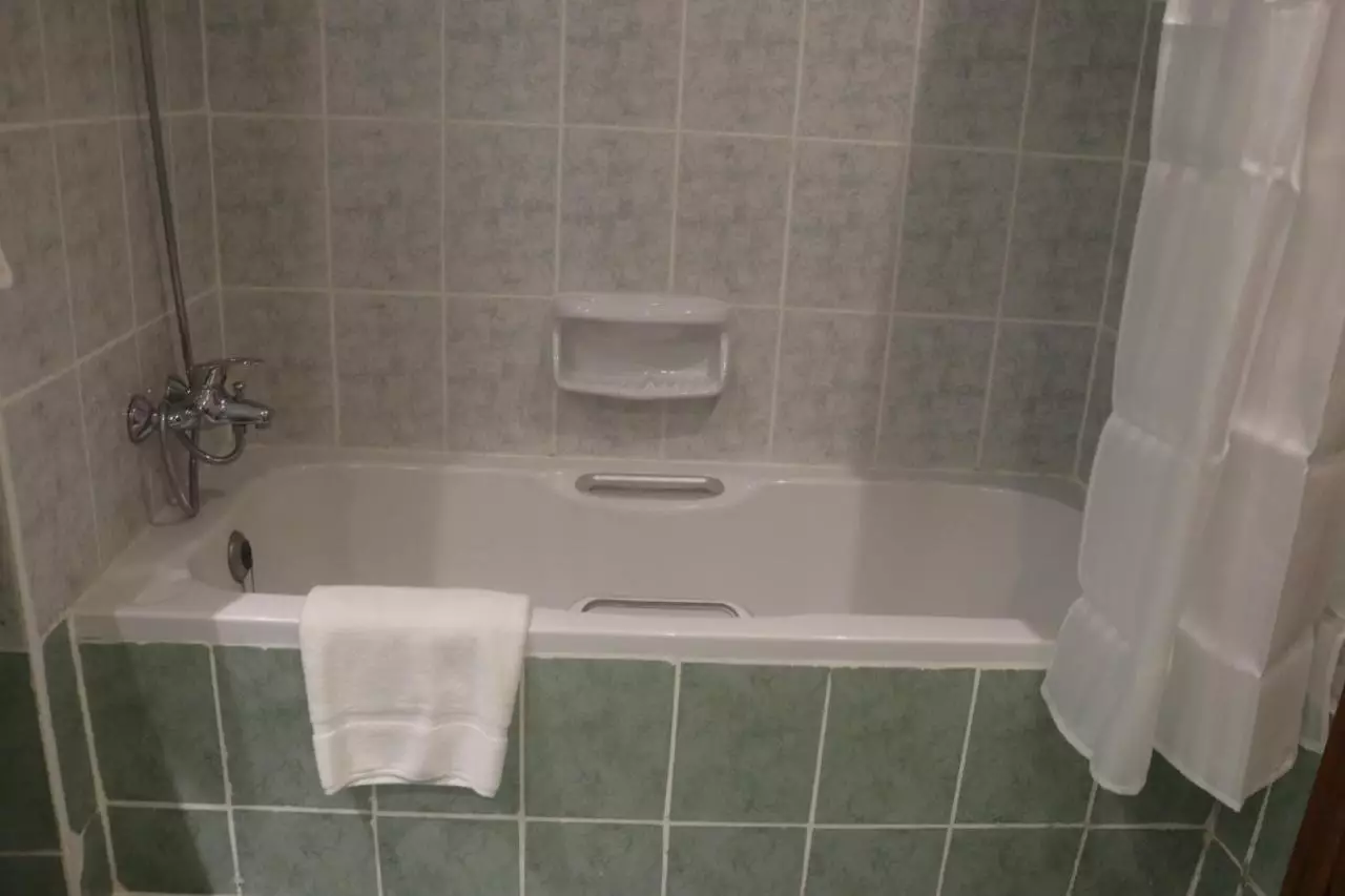 سرویس بهداشتی GSS AVENUE ex DELMON